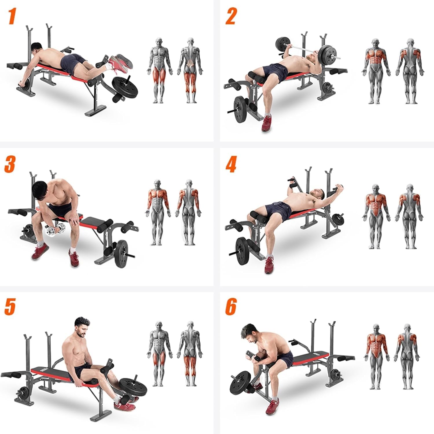 Multifunctional Weight Bench & Bench for Workout – Adjustable Exercise Bench for Home Gym, Chest Shoulder Legs Bodybuilding Workout (Without Barbell & Barbell) ‎SportQ