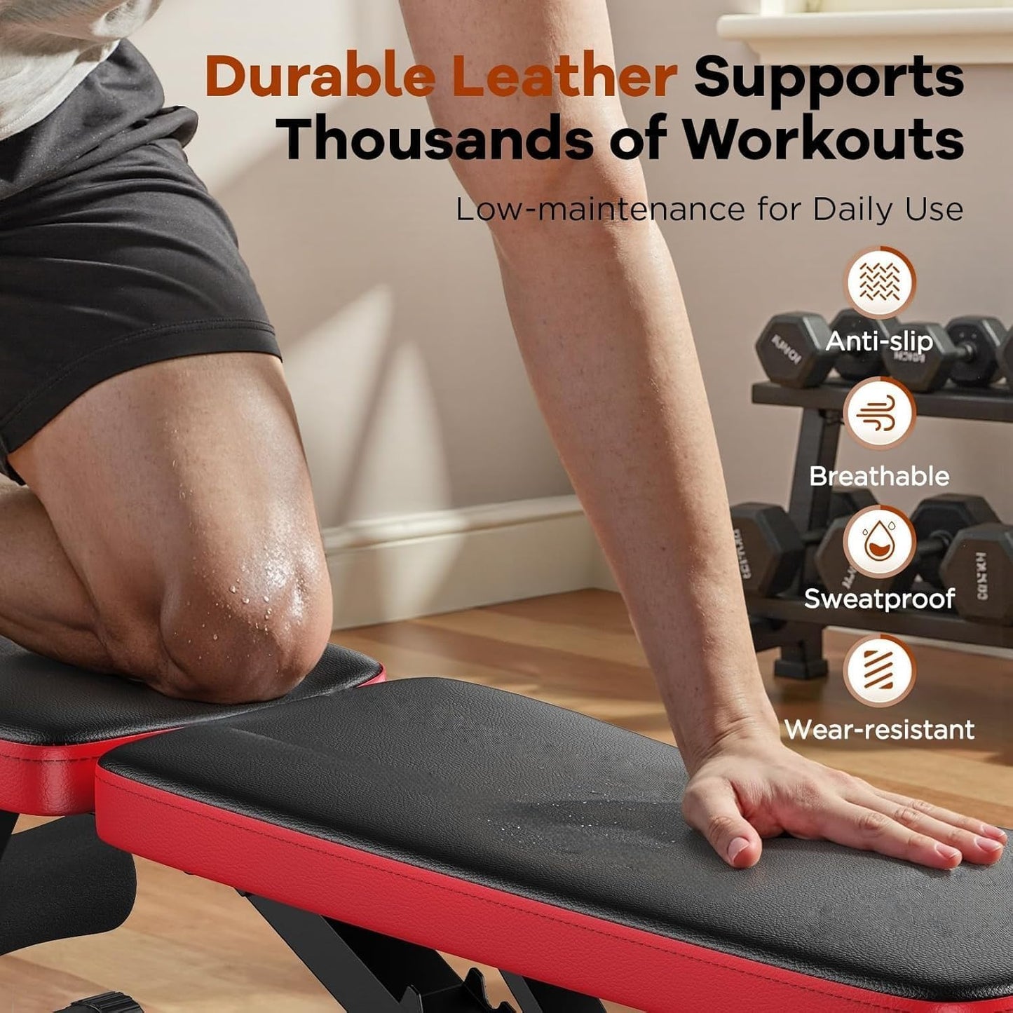 SportQ Adjustable Weight Bench Foldable Exercise Bench 250kg Large Capacity Elastic Ropes for Home Gym Strength Training Full Body Fitness Sit Up Flat Incline ‎SportQ