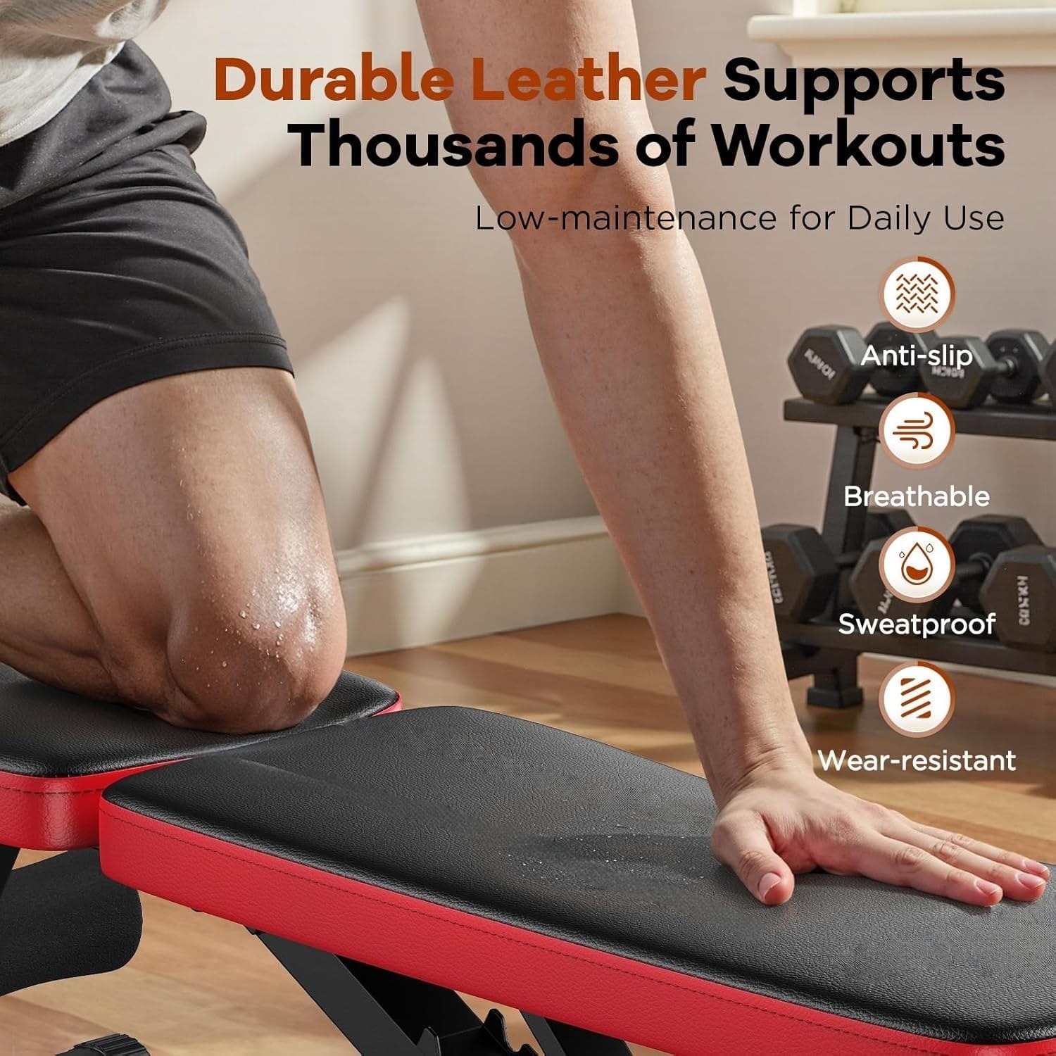 SportQ Adjustable Weight Bench Foldable Exercise Bench 250kg Large Capacity Elastic Ropes for Home Gym Strength Training Full Body Fitness Sit Up Flat Incline ‎SportQ